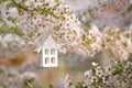 Little wooden house in Spring with blossom cherry Royalty Free Stock Photo