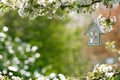 Little wooden house in Spring with blossom cherry Royalty Free Stock Photo