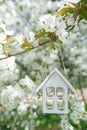 Little wooden house in Spring with blossom cherry flower sakura Royalty Free Stock Photo