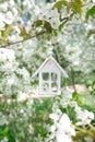 Little wooden house in Spring with blossom cherry flower sakura Royalty Free Stock Photo