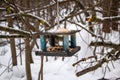 Little wooden pendant bird feeder suspended on a tree in forest, for small and migratory birds, for feeding in winter and spring Royalty Free Stock Photo