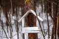 Little wooden pendant bird feeder suspended on a tree in forest, for small and migratory birds, for feeding in winter and spring Royalty Free Stock Photo