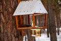 Little wooden pendant bird feeder suspended on a tree in forest, for small and migratory birds, for feeding in winter and spring Royalty Free Stock Photo