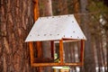 Little wooden pendant bird feeder suspended on a tree in forest, for small and migratory birds, for feeding in winter and spring Royalty Free Stock Photo