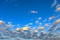 Little yellow altocumulus clouds in the blue sky Royalty Free Stock Photo