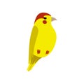 Little Yellow Bird, Cute Birdie Home Pet Vector Illustration Royalty Free Stock Photo