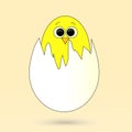 Little yellow chicken in the egg Royalty Free Stock Photo