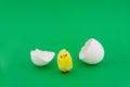 The little yellow chicken hatched out of the egg. Toy chicken for Easter Royalty Free Stock Photo