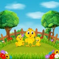 The little yellow chicken playing with their friend around the flowers in the field