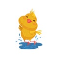 Little yellow chicken in a puddle. Vector illustration on white background. Royalty Free Stock Photo