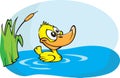 Little yellow duck Royalty Free Stock Photo
