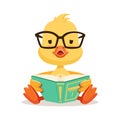 Little yellow duck chick in glasses sitting and reading book, cute emoji character vector Illustration