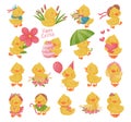 Little Yellow Duckling Engaged in Different Activity Big Vector Set