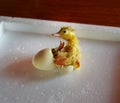 Little yellow duckling hatched from an egg Royalty Free Stock Photo