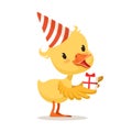 Little yellow duckling in a party hat holding gift box, cute emoji character vector Illustration Royalty Free Stock Photo