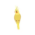 Little Yellow Parrot Bird, Cute Birdie Home Pet Vector Illustration Royalty Free Stock Photo