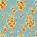 Little yellow poppies. Watercolor flowers pattern on the blue background color Royalty Free Stock Photo