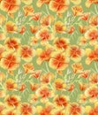 Little yellow poppies. Watercolor flowers pattern on the green background Royalty Free Stock Photo