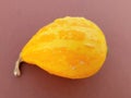 Little yellow pumpkin on brown background. Great for Halloween decoration.