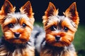 Little Yorkshire Terrier puppy posing with nature background, generative ai color grading. Cute Yorkie Dog watching to camera