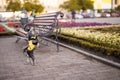 Little Yorkshire Terrier for a walk in the city. Yorick dog in funny black and yellow clothes. York funny stands on his hind legs