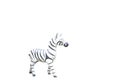 Little zebra statue isolated on white background Royalty Free Stock Photo