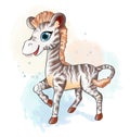 Little zebra in watercolor style