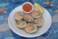 Littleneck Clams Royalty Free Stock Photo