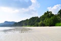 Littoral Forest at White Sandy Beach - Radhanagar Beach, Havelock Island, Andaman Nicobar, India Royalty Free Stock Photo
