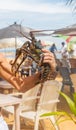 Live big lobster in the hands of people. Selective focus Royalty Free Stock Photo