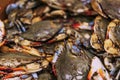 Live Blue Shell Crabs