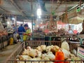 Live chickens for sale in a local market of Dhaka, Bangladesh