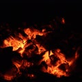 Live coals Royalty Free Stock Photo