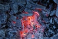 Live coals Royalty Free Stock Photo