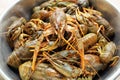 Live crawfishes in a metal bowl