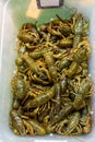 Fresh green live crayfish in plastic box