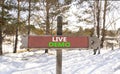 Live demo symbol. Concept words Live demo on beautiful wooden road sign. Beautiful forest snow blue sky background. Copy space. Royalty Free Stock Photo