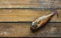 Live fish on the wooden board