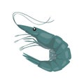 Live green shrimp icon. Shrimp cartoon illustration. Shrimp in wildlife, reserves, sea food