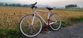 live a healthy life by cycling while enjoying the beautiful rice fields Royalty Free Stock Photo