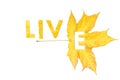 Live. Letters carved from wedge leaves