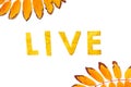 Live. Letters carved from wedge leaves
