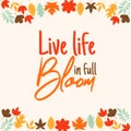 Live life in full bloom Royalty Free Stock Photo