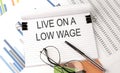 LIVE ON A LOW WAGE , text on the chart , office supplies, business concept