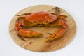 Cooked mud crab on wooden base Royalty Free Stock Photo