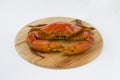 Cooked mud crab on wooden base Royalty Free Stock Photo