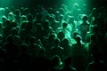 Live Music Concert Crowd Green Lighting