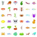 Live nature icons set, cartoon style