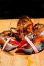 Live North American lobster Royalty Free Stock Photo