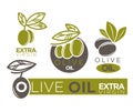 Live olive oil extra virgin flat logotypes on white. Vector